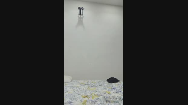 porcellina181 ass Webcam SHOW @ Cam4 13-09-2024