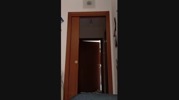 simo460 big Webcam SHOW @ Cam4 14-09-2024