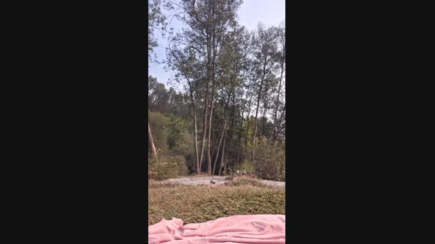 Paola_1985 fuck Webcam SHOW @ Cam4 17-09-2024