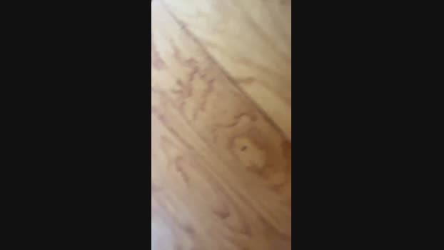 Fresas analsex Webcam SHOW @ Cam4 30-09-2024