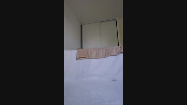 Lyajoliee Recorded Webcam SHOW @ Cam4 12-10-2024