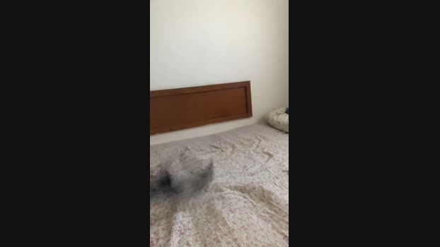 Gabi_loira sex Webcam SHOW @ Cam4 26-10-2024