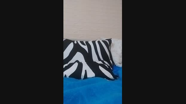 aledina78 bj-dildo Webcam SHOW @ Cam4 28-10-2024
