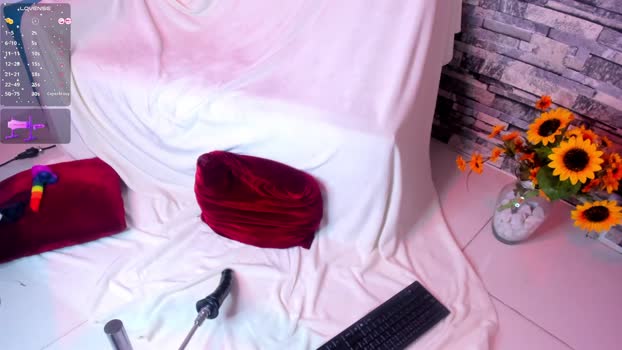 SamiQuest Cam Webcam SHOW @ Cam4 14-11-2024