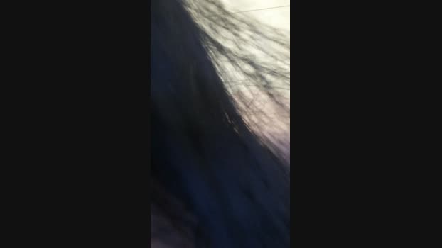 candydreams6 orgasm Webcam SHOW @ Cam4 14-11-2024