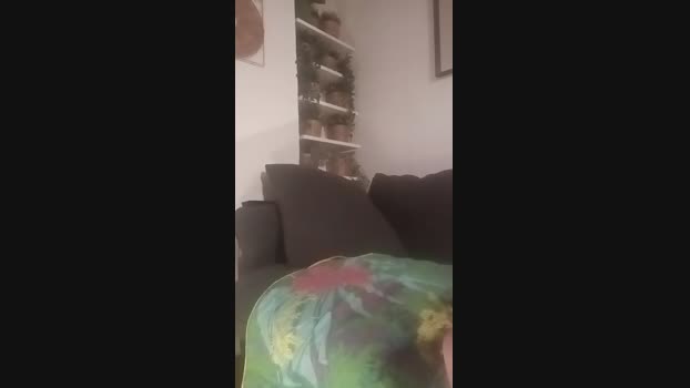 Petitebombe34 fuckface Webcam SHOW @ Cam4 17-11-2024