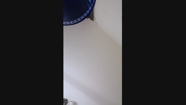 leeiamaya41 big Webcam SHOW @ Cam4 20-11-2024