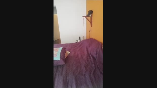 Shaktimartina dirty Webcam SHOW @ Cam4 21-11-2024