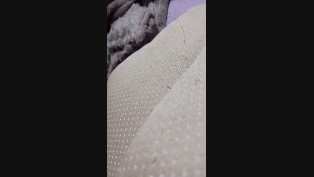 Trans_Sub69 suckcock Webcam SHOW @ Cam4 21-11-2024