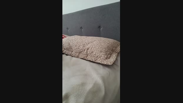 manefuego big Webcam SHOW @ Cam4 23-11-2024