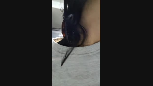 manefuego love Webcam SHOW @ Cam4 26-11-2024