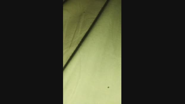 fragolechampag2 bj-dildo Webcam SHOW @ Cam4 06-12-2024