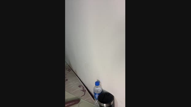 vivi298 bigass Webcam SHOW @ Cam4 06-12-2024