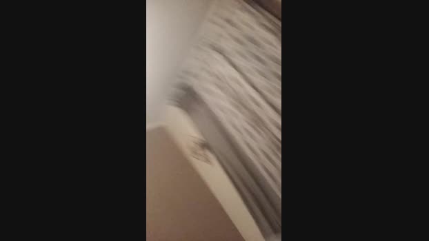 Titouna hardcore Webcam SHOW @ Cam4 08-12-2024