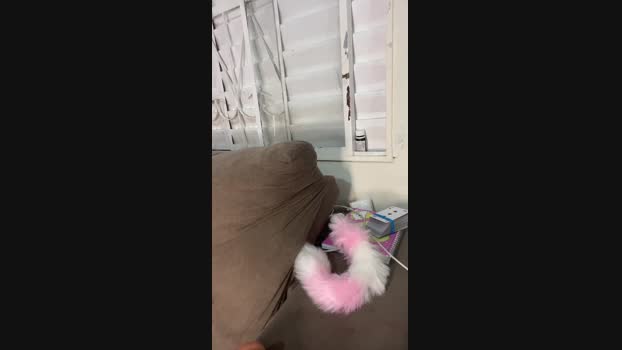 vivi298 beauty Webcam SHOW @ Cam4 09-12-2024