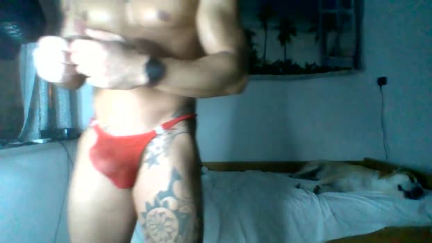 Violetta2022 Nude Webcam SHOW @ Cam4 13-12-2024