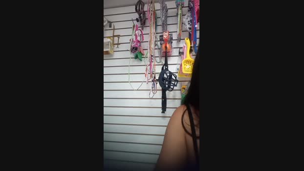 sweet_scarlett_ Ass Webcam SHOW @ Cam4 13-12-2024