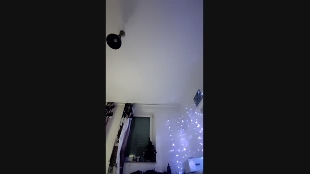 lionscage ass Webcam SHOW @ Cam4 21-12-2024