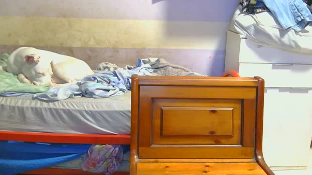 Couplemilf2 amateur Webcam SHOW @ Cam4 01-01-2025