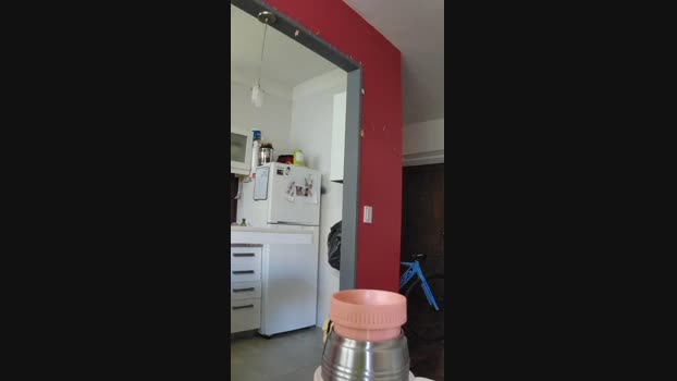 feliciabruna big Webcam SHOW @ Cam4 04-01-2025