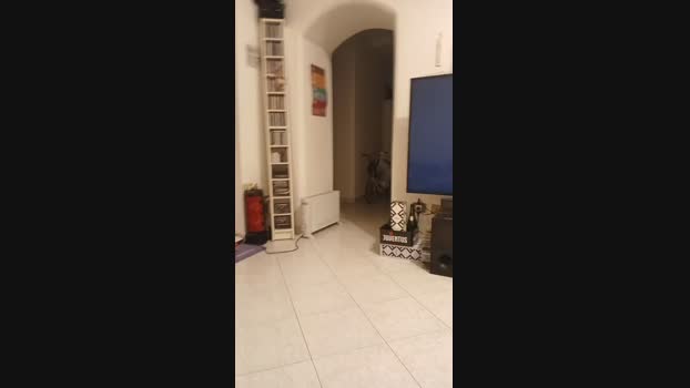 alessandravite1 fuckface Webcam SHOW @ Cam4 16-01-2025