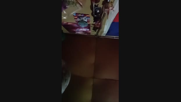 jessy_rica lush Webcam SHOW @ Cam4 20-01-2025