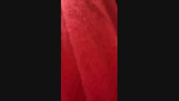 Annawow show Webcam SHOW @ Cam4 30-01-2025