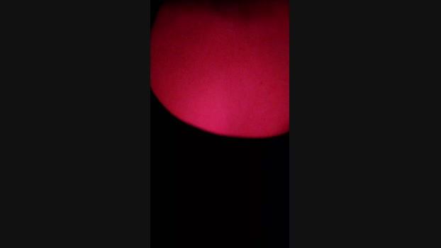 duerosse tits Webcam SHOW @ Cam4 05-02-2025