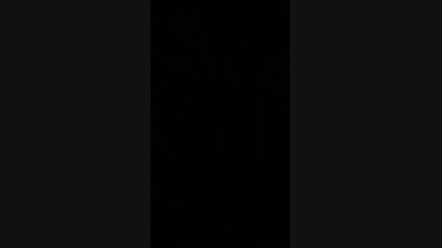 alessandravite1 suckcock Webcam SHOW @ Cam4 07-02-2025