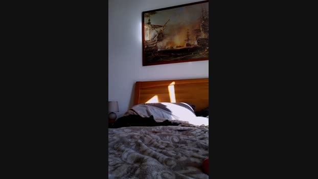GattaRossah yummy Webcam SHOW @ Cam4 10-02-2025