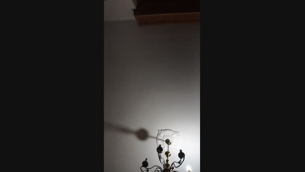 Annarellapika sexybody Webcam SHOW @ Cam4 13-02-2025