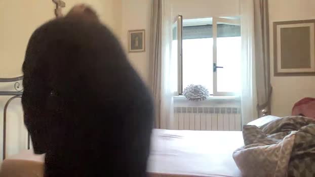 martinabigst skinny Webcam SHOW @ Cam4 16-02-2025
