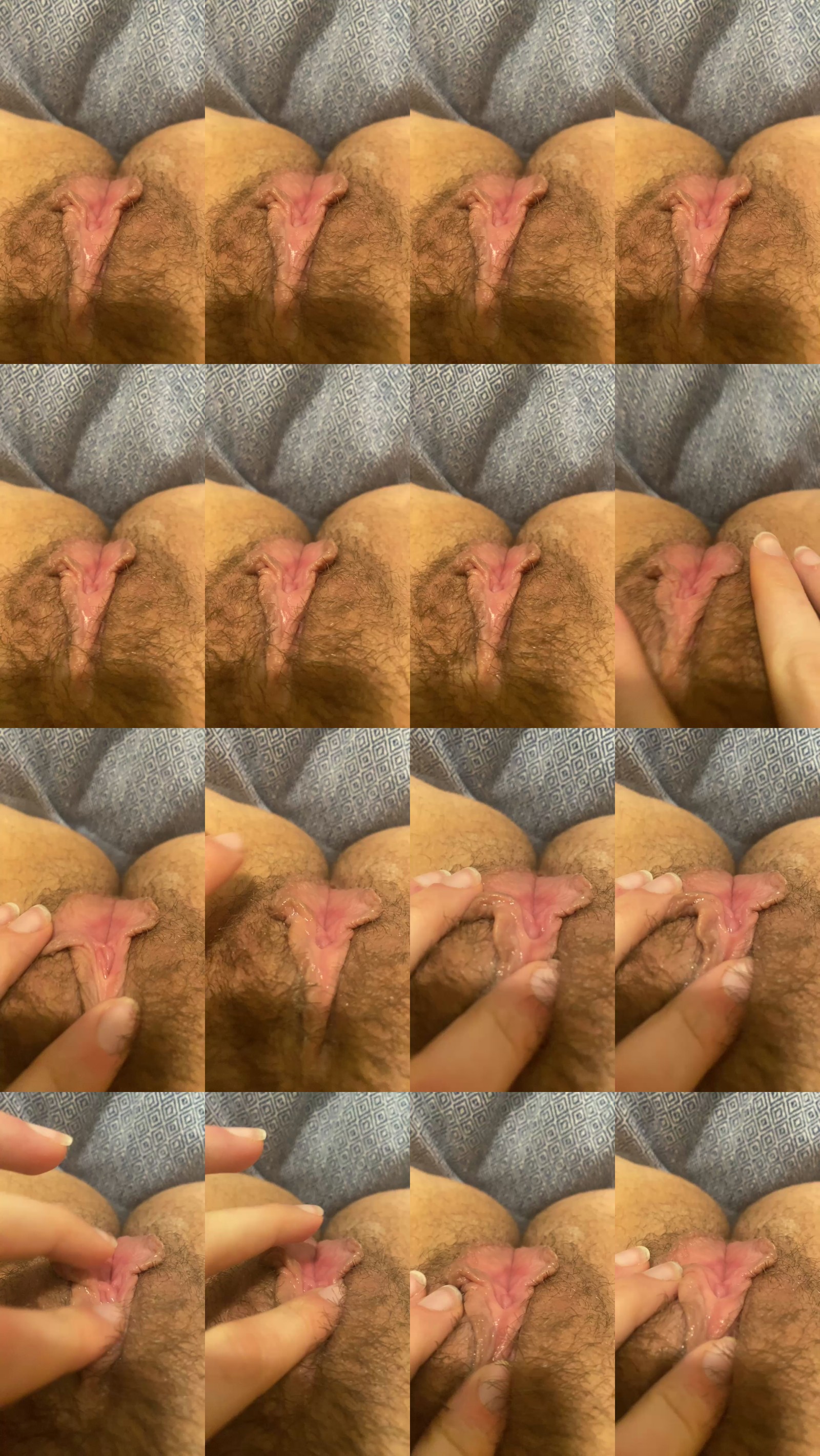universitygirl toy Webcam SHOW @ Cam4 24-02-2025