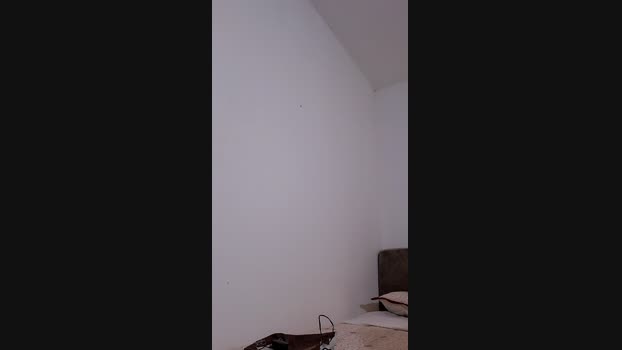 Bellaju bigtoys Webcam SHOW @ Cam4 26-02-2025