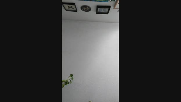 HotFragolaX bigtoys Webcam SHOW @ Cam4 03-03-2025