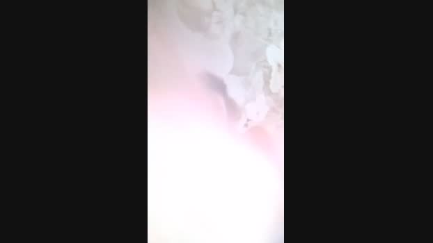 Asiancat83 fuckass Webcam SHOW @ Cam4 26-03-2025