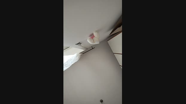 GemmaMereu suckcock Webcam SHOW @ Cam4 01-04-2025