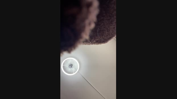 natasha6 blowjob Webcam SHOW @ Cam4 04-04-2025
