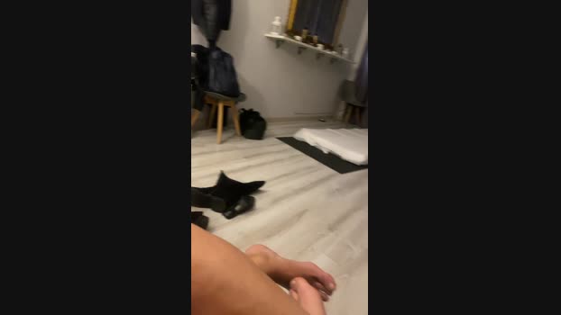 Lauratonynapoli ass Webcam SHOW @ Cam4 17-04-2025