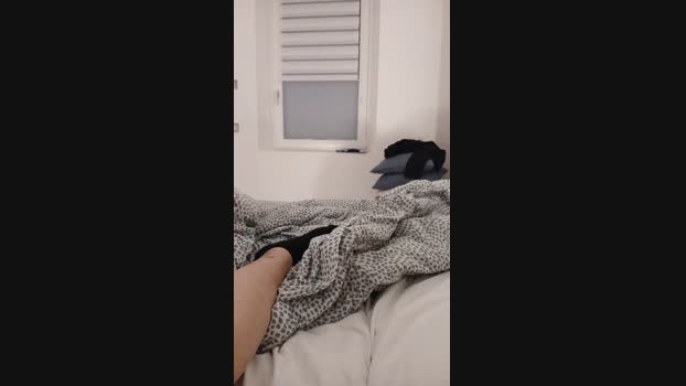 Scalareale66