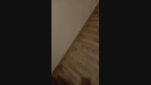 vogliadi6 fuckass Webcam SHOW @ Cam4 03-05-2025