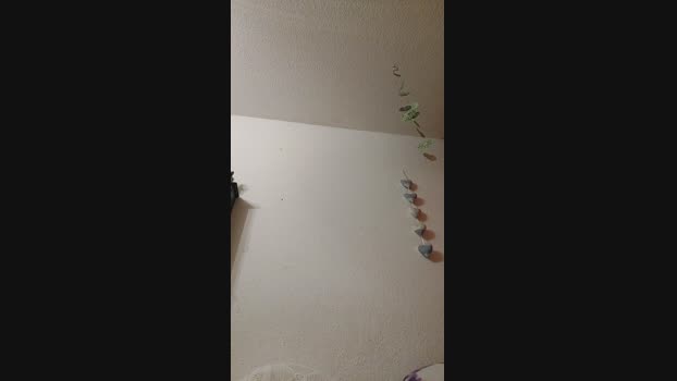 HotFragolaX Recorded Webcam SHOW @ Cam4 09-05-2025