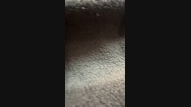 otakugirlxxx Wet Webcam SHOW @ Cam4 12-05-2025
