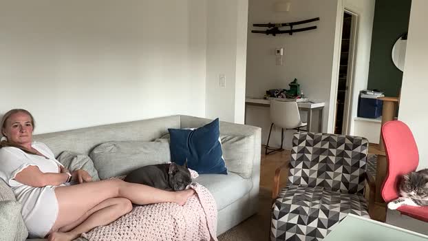 DDD_frenchlove fuckass Webcam SHOW @ Cam4 14-05-2025