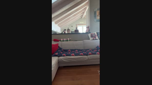 Antonella524 fuckme Webcam SHOW @ Cam4 16-05-2025