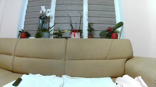 have_funnn kink Webcam SHOW @ Cam4 27-05-2025