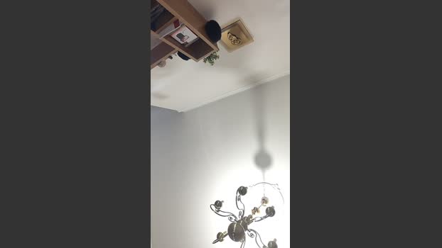 Annarellapika big Webcam SHOW @ Cam4 05-07-2025
