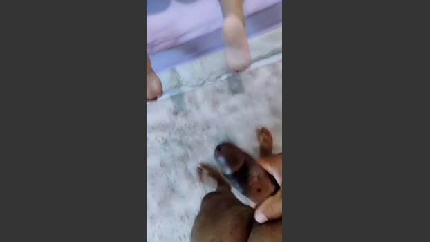 Sexudiag XXX Webcam SHOW @ Cam4 05-07-2025