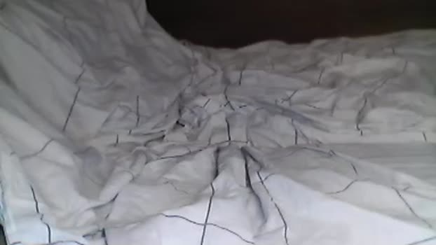 sapessi3 beauty Webcam SHOW @ Cam4 05-07-2025