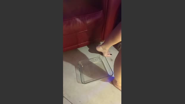 pissriot fuckme Webcam SHOW @ Cam4 07-07-2025
